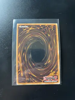 Odd-Eyes Arcray Dragon 1st Edition Overframe Starlight Rare RA05-EN145 Yu-Gi-Oh! - Image 2