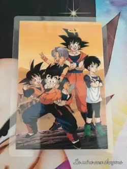 Carte Rami Primera 16 Dragon Ball Z card set plastified Norma Videl Gohan Trunks - Image 1
