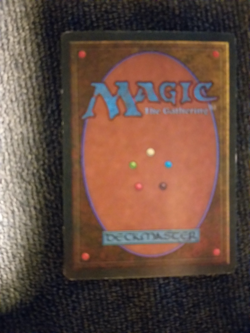 MTG Taiga Revised Edition Unplayed MINT/NM Condition -- Magic the Gathering - Image 3