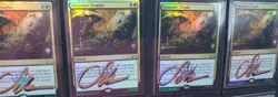 MTG 4 x FOIL ASSASSIN'S TROPHY PROMO PACK SHADOW SIGNED BY SEB MCKINNON - Image 1