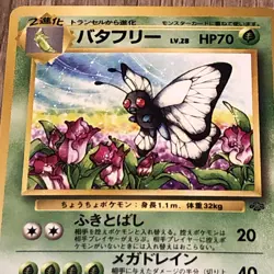 1997 Pokemon Butterfree No. 012 Jungle Set Japanese LP/MP - Image 2