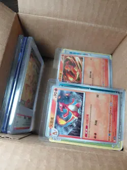 pokemon card collection. Graded cards. 2lbs. No energy. Hundreds of cards. - Image 1