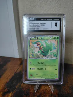 pokemon card collection. Graded cards. 2lbs. No energy. Hundreds of cards. - Image 4