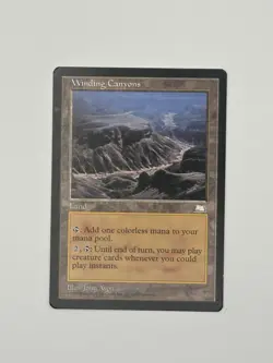 Magic the Gathering - Winding Canyons - Image 2