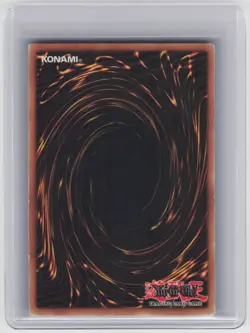 Lord of D. - BPT-004 - Yugioh TCG - Secret Rare - Limited Edition - LP - Image 2