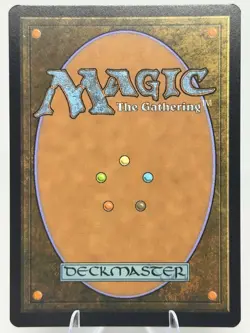 Misty Rainforest FOIL EXPEDITION Zendikar Rising MTG NM 010 - Image 3