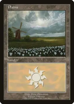 MTG English Plains - Lowlands, Netherlands Light Play Normal Promos: Euro Lands - Image 1