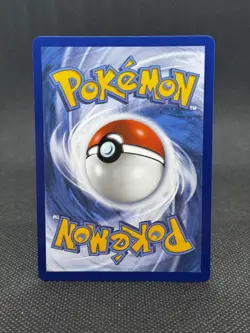 Turtwig 040 Holo Promo ME: Mega Evolution Promo Pokemon Near Mint - Image 3