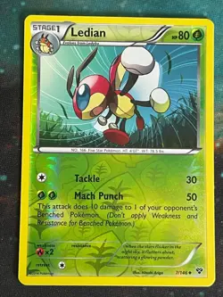 POKEMON LEDIAN 7/146 UNCOMMON REVERSE HOLOFOIL XY BASE SET NM CARD - Image 1
