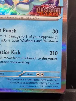 Pokemon Obsidian Flames Palafin Prerelease Build & Battle Promo Deck Sealed - Image 4