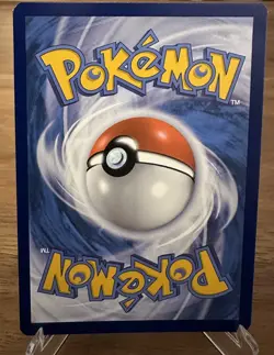 Squirtle #SWSH233 - SWSH: Sword & Shield Promo Cards Promo Holofoil Pokemon - NM - Image 2