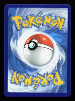 Lucario V SWSH213 Promo Sword & Shield Promo Pokemon Card - Image 2