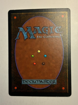 MTG Homelands Daughter of Autumn LP Rare - Image 2