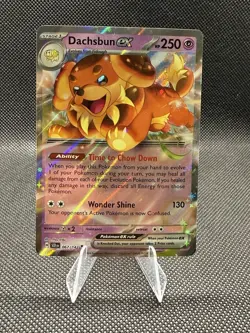 Dachsbun ex | 067/142 | Pokemon | Stellar Crown | 50% off 2nd Card - Image 1