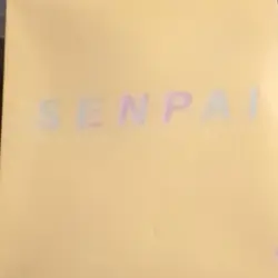 Senpai Yellow Binder Collectible Card Game Album - Image 1