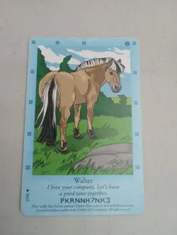Bella Sara Northern Lights Walter 27/55 Horse Regular Common Card 2007 TCG - Image 1