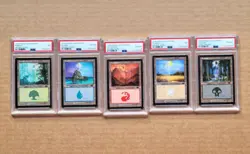 MtG Guru Land set Forest Island Mountain Swamp Plains PSA sequential certs - Image 1