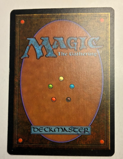 MTG Homelands Renewal LP Common - Image 2