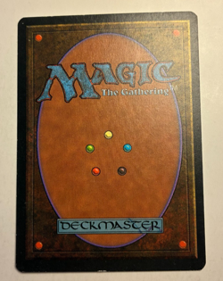 MTG Homelands Folk of An-Havva 87A LP Common - Image 2