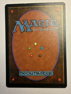 MTG Homelands Carapace 84A LP Common - Image 2