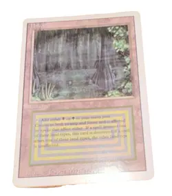 Wizards of the Coast Magic: The Gathering Bayou Land Card English Jesper Myrfors - Image 1