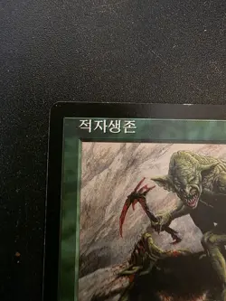 Survival of the Fittest Korean Enchantment Green Pete Venters 129/143 1998 - Image 2