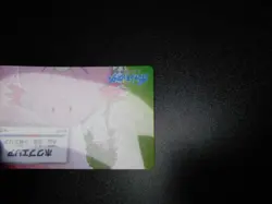 Pokemon Card Nagoya Railway Stamp Rally Promo 2018 Toren & Chansey #2813 PLAY - Image 3