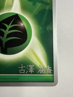 LP Celebi Grass Energy 2010 World Championships Pokemon card - Image 4