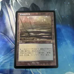 Mtg Old Frame Wetland Tidal Flats/Marsh Flats Japanese Jp - Image 1