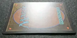 Mtg Refuge Old Foil Japan Edition Ody - Image 3