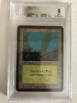 MTG Alpha Forest (A) BGS Graded (9) (9.5 ratings on surface and edge) - Image 1