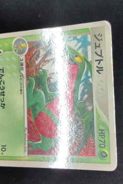 Grovyle Japanese McDonald's Promotional Card 081/PCG-P Pokemon - Image 4