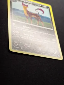 Leopardus 67/114 NB Noir et Blanc de Base Carte Pokemon FR - Image 3