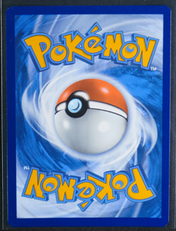 Tornadus - Holo Promo #210 SV: Scarlet & Violet Promo Cards NM - Image 2