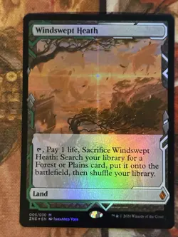 MTG Windswept Heath/Foil/Zendikar Rising Expeditions (ZNE)/#5 - Image 1