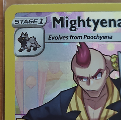 Mightyena - TG09/TG30 - Astral Radiance - Pokemon TCG Holo Rare - Image 3