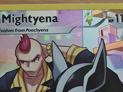 Mightyena - TG09/TG30 - Astral Radiance - Pokemon TCG Holo Rare - Image 4