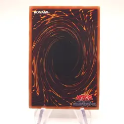 [Dear. willle-78] Yu-Gi-Oh 8 set a205 u052 u707 g244 u091 e946 h815 g010 - Image 4
