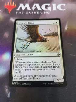 Mtg. Tempest Hawk. Foil. Tarkir: Dragonstorm. Pack Fresh - Image 1