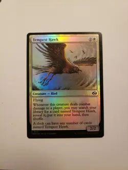 Tempest Hawk Tarkir: Dragonstorm Foil Bird - Image 1