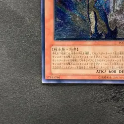 Neo-Spacian Aqua Dolphin POTD-JP003 Ultimate Rare YuGiOh 2611 - Image 4