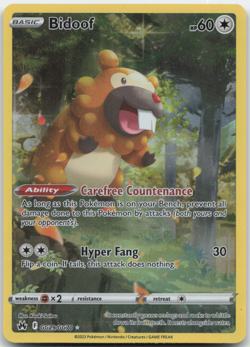 Bidoof GG29/GG70 Crown Zenith: Galarian Gallery Pokemon Card NM - Image 1