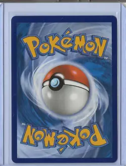 Pokemon TCG - Ascended Heroes - Psyduck IR 226/217 Illustraion Rare - Image 2