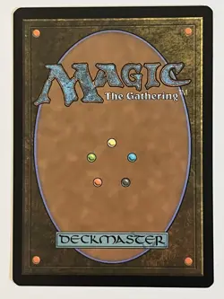 Siege Veteran The Brothers' War Non-Foil Regular MTG - Image 2