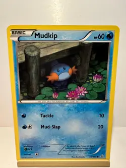Mudkip 33/160 Common Primal Clash Pokemon Lightly Played - Image 1