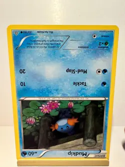 Mudkip 33/160 Common Primal Clash Pokemon Lightly Played - Image 2