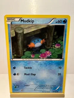 Mudkip 33/160 Common Primal Clash Pokemon Lightly Played - Image 1