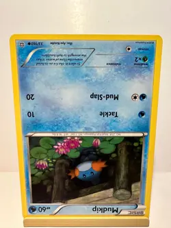 Mudkip 33/160 Common Primal Clash Pokemon Lightly Played - Image 2