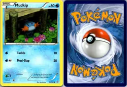 MUDKIP 33/160 COMMON PRIMAL CLASH POKEMON NM/M - Image 3