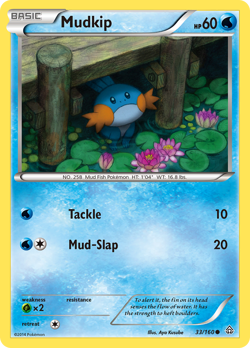 MUDKIP 33/160 COMMON PRIMAL CLASH POKEMON NM/M - Image 4